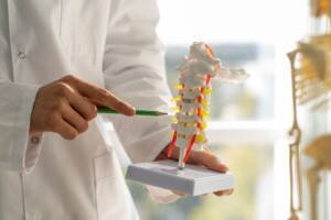 chiropractor directory blog 1 (1)